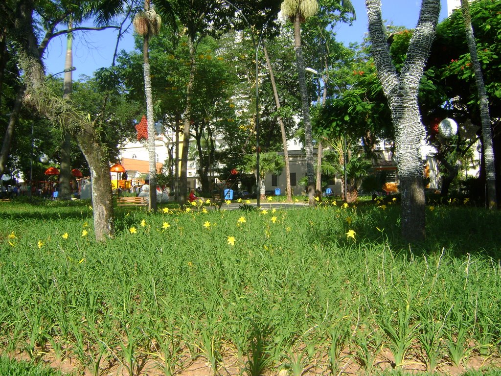 Cambui - Largo Santa Cruz - muito verde, muito bem conservado by Alexander Denarelli