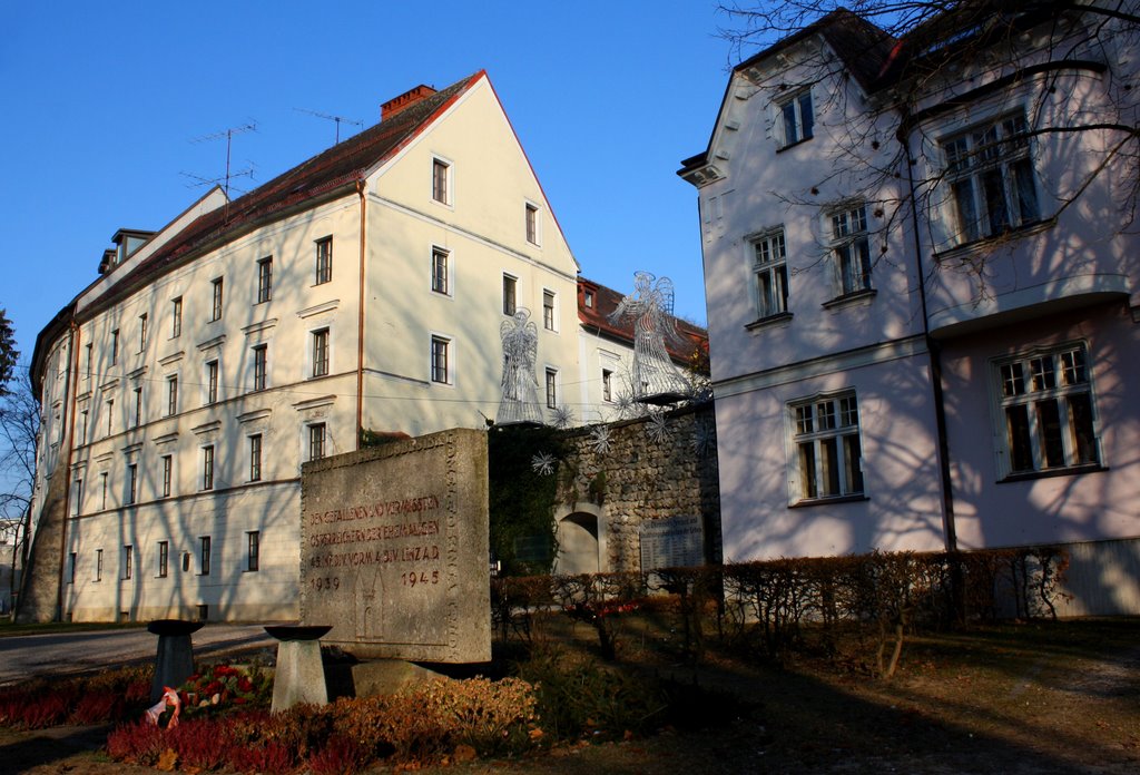 Freiung und Stadtmauer by Hepp Markus