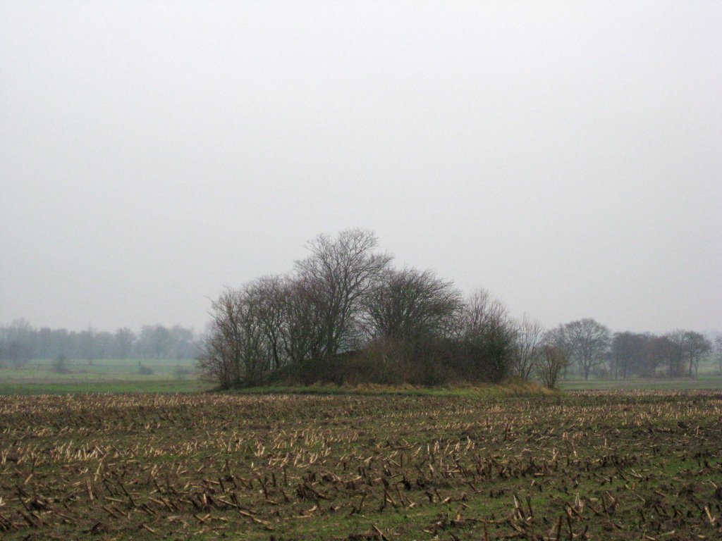 Gudendorf - Hügelgrab am "Karkweg" by Robert-68