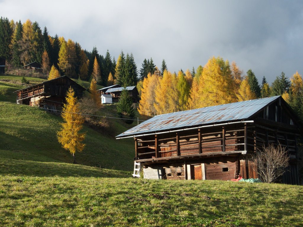 Valle-S.Pietro di Cadore - Fienili by franco baldissarutti