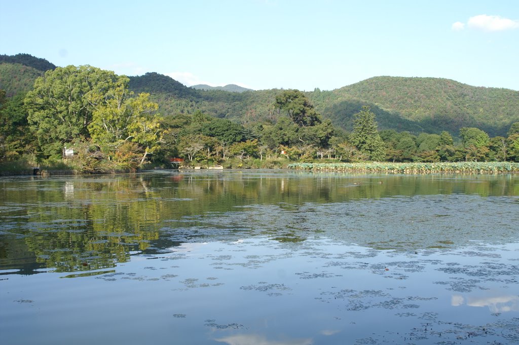 Ohsawa-pond　大沢池 by kyoto_van