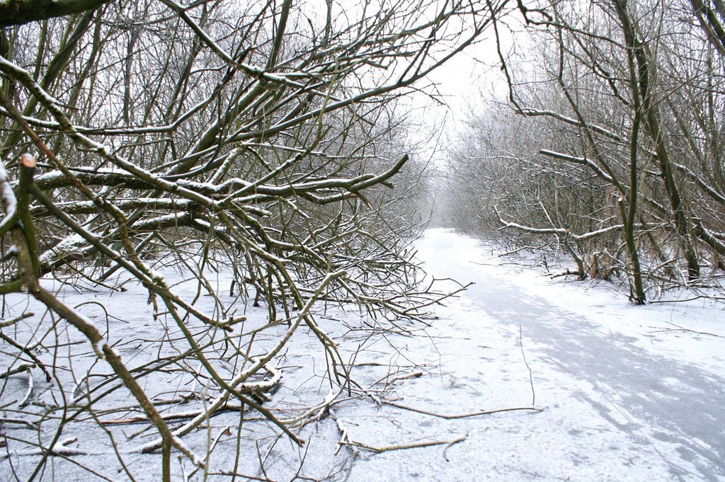 (ijs)Pad naar 1e plas "De Blauwe Hel", Winter, 2009, Veenenaal by Peter van de Haar