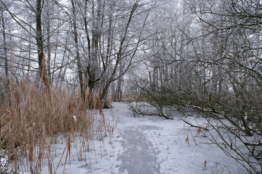 Ingang "De Blauwe Hel", Winter, 2009, Veenenaal by Peter van de Haar