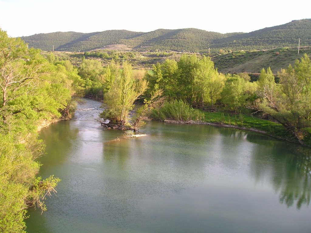 Vista desde El Puente del Diablo by eneko86