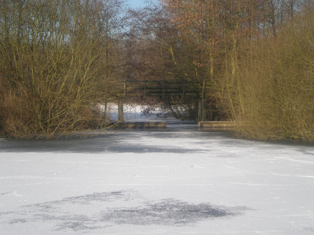 Bruggetje over Spijkvijver by Diesmer