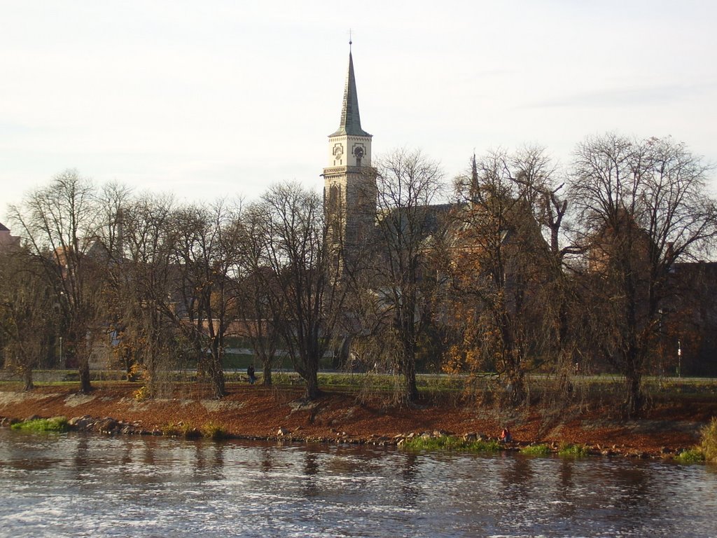 Kaštany by kudrna