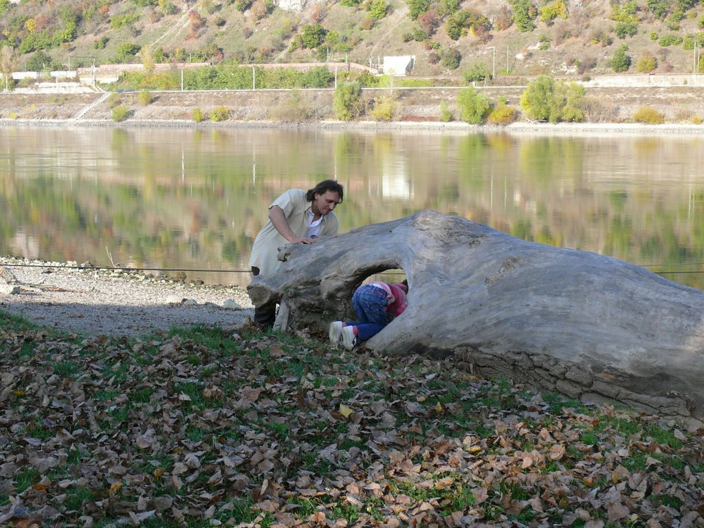 Dömös, 2027 Hungary by Tranyósok Baráti Kör…