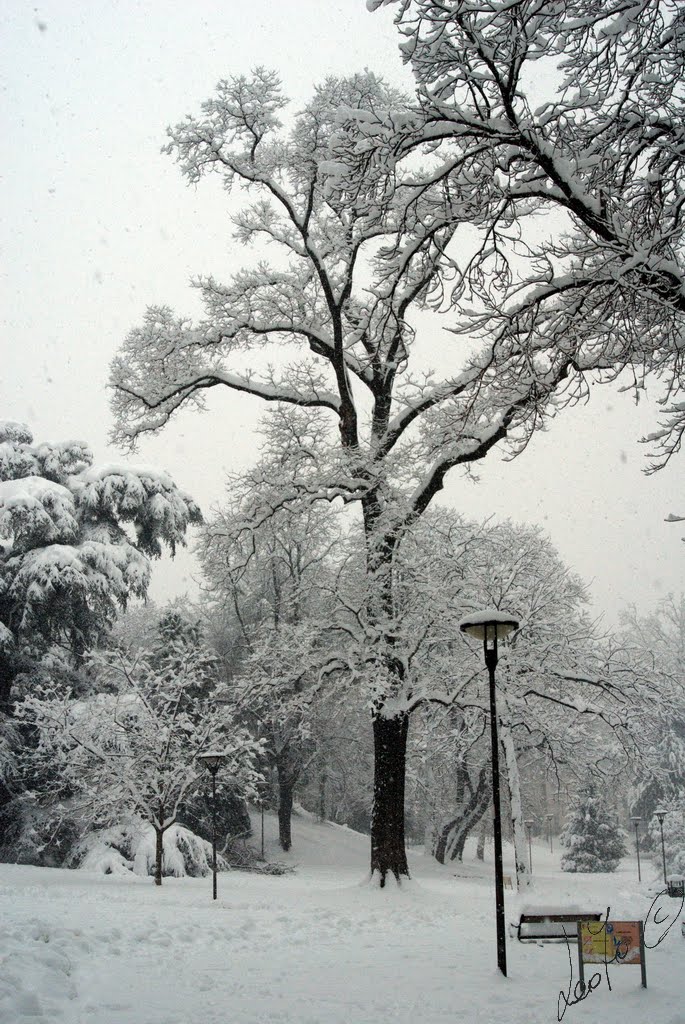 Giardini d'inverno - gennaio 2009 by leo70©