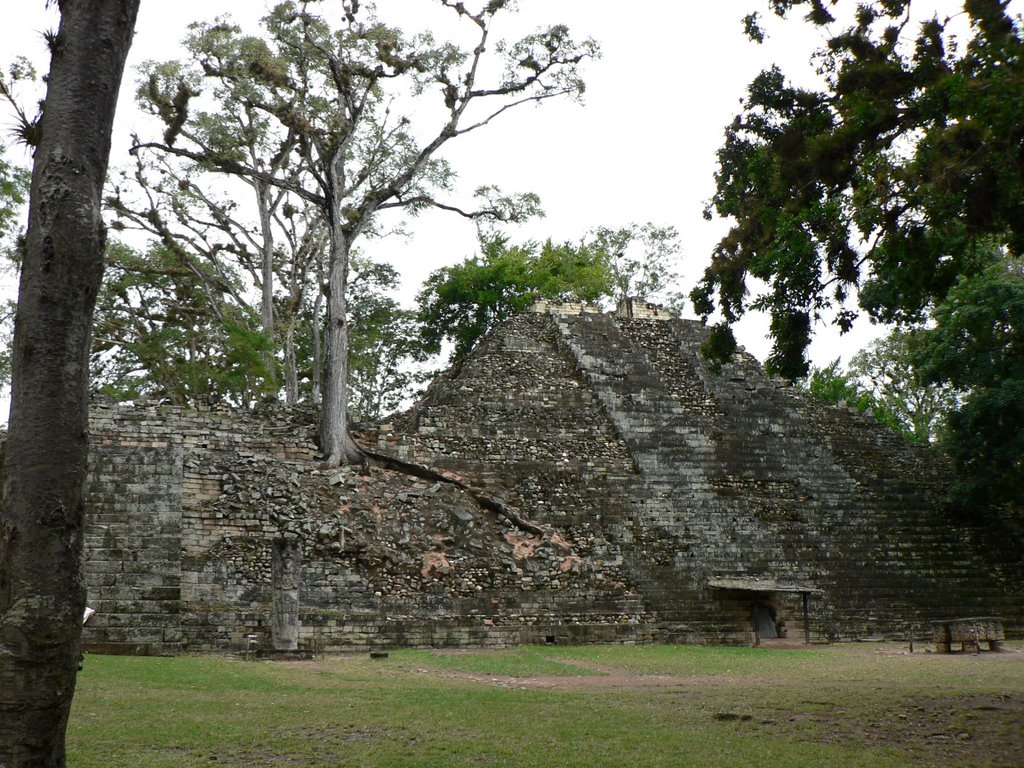 Copan, Maya Ruinen by Rainer I.