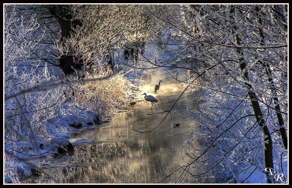 Winter in Mülheim / Ruhr by photographer10