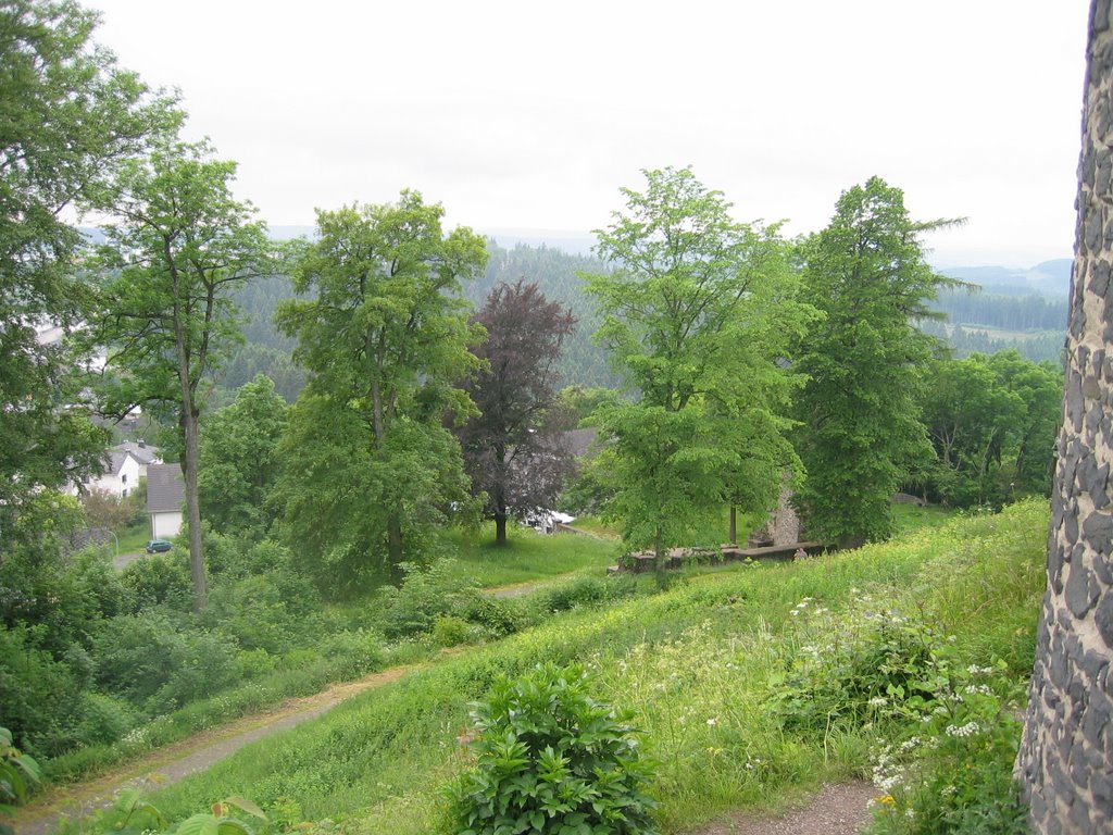 Auf der Nürburg by Daniel -