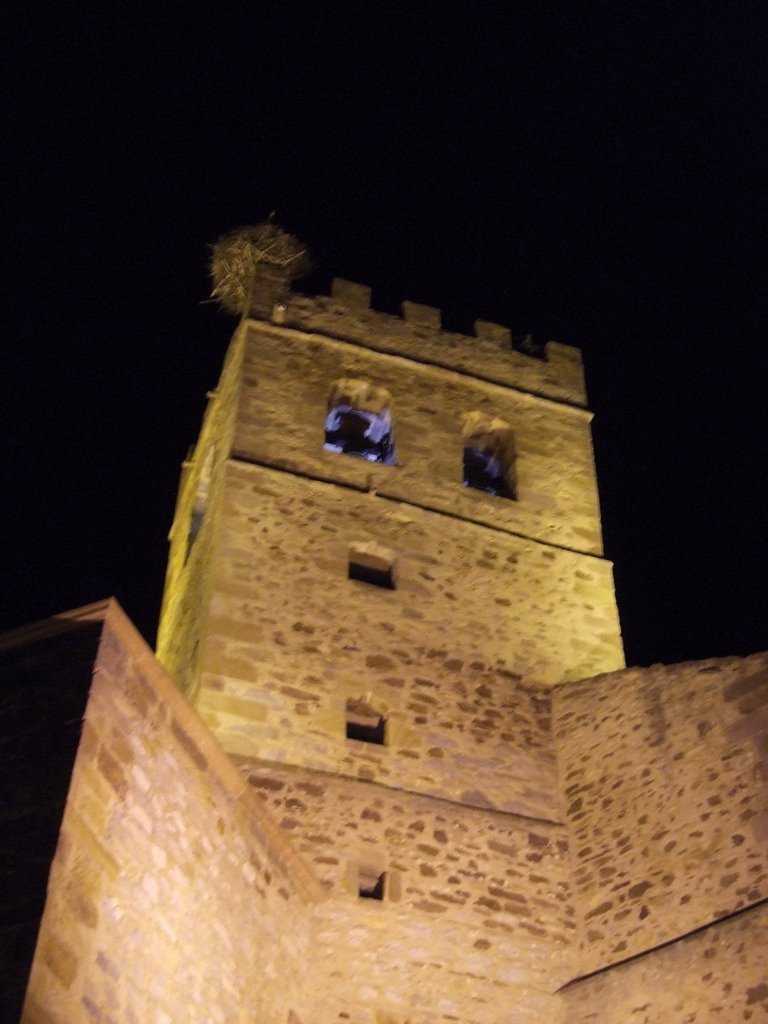 Imagen nocturna de la torre almenada de la Iglesia de Ólvega by Lucio  López Revilla