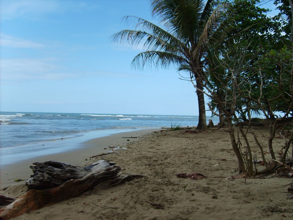 Playa Caribeña / Karibikstrand by Panzerknacker