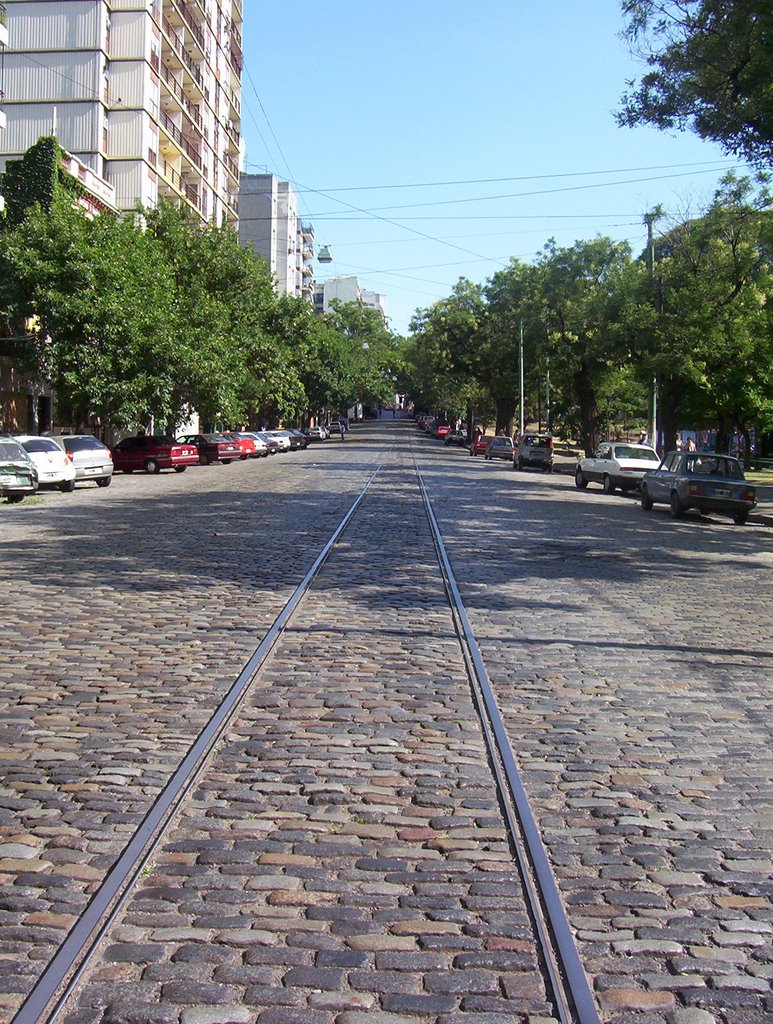 Calle Defensa, sus Vías y su Empedrado by mopecito