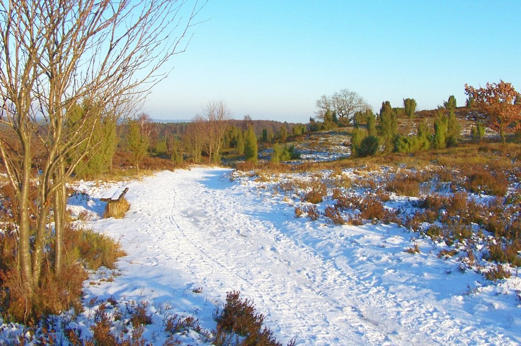 Wanderweg Richtung Undeloh by Don111