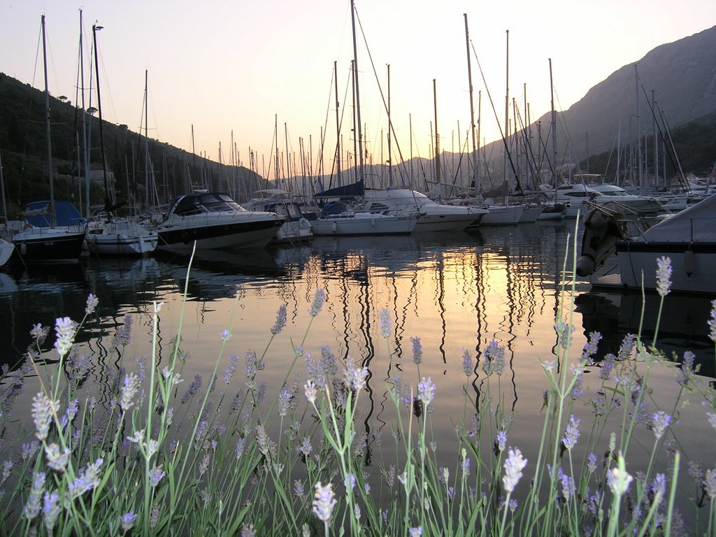 Marina Mokosica Dubrovnik by renategast