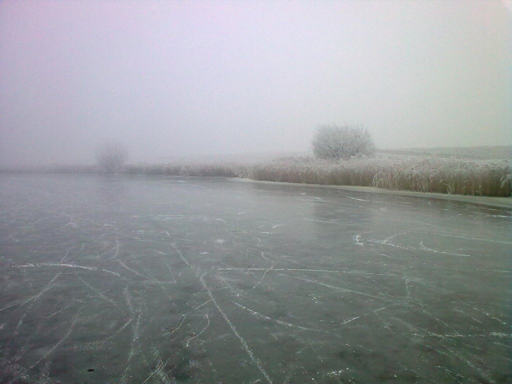 Winters landschap by J. Nagtegaal