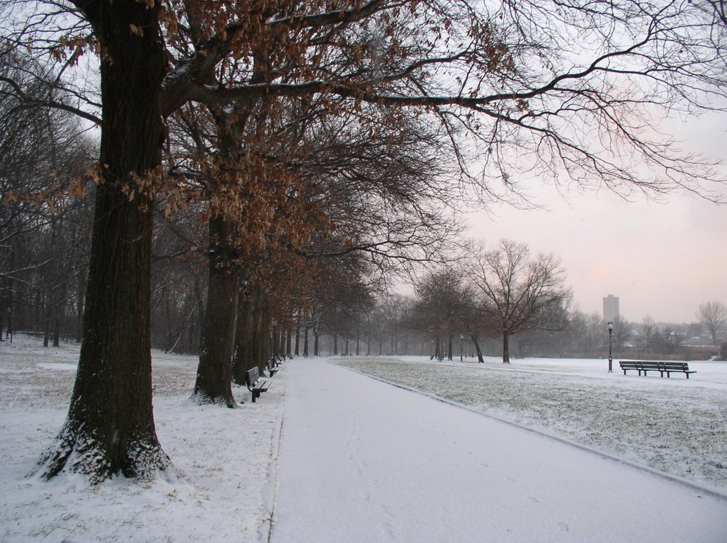 Snowing and quiet afternoon by SIEWINTL