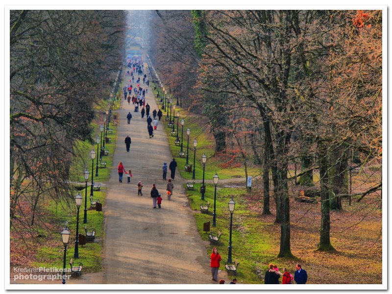 Maksimir - perivoj by Krešimir Pletikosa