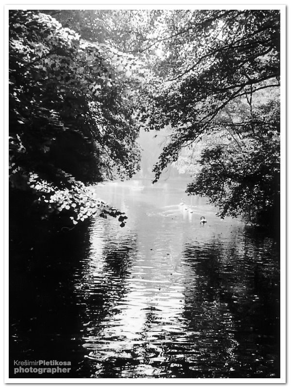 Pogled na jezero by Krešimir Pletikosa