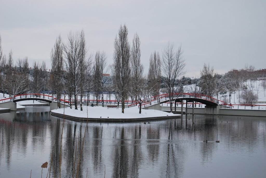 Paseo por el parque. 2 by Miguel Carrasco Valv…