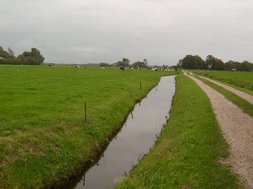 Polder near Bergen by rolandweyers