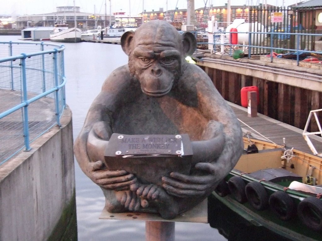 Hartlepool Monkey by pablowhitt