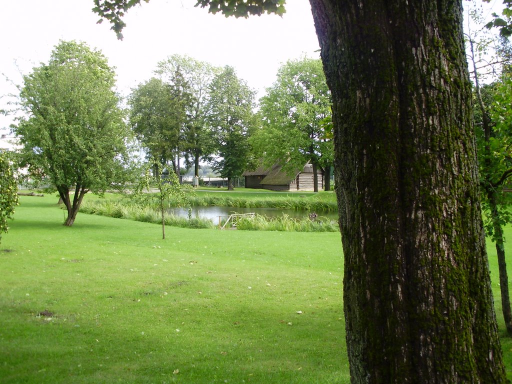 National History museum in Ludza - pond by killsometime