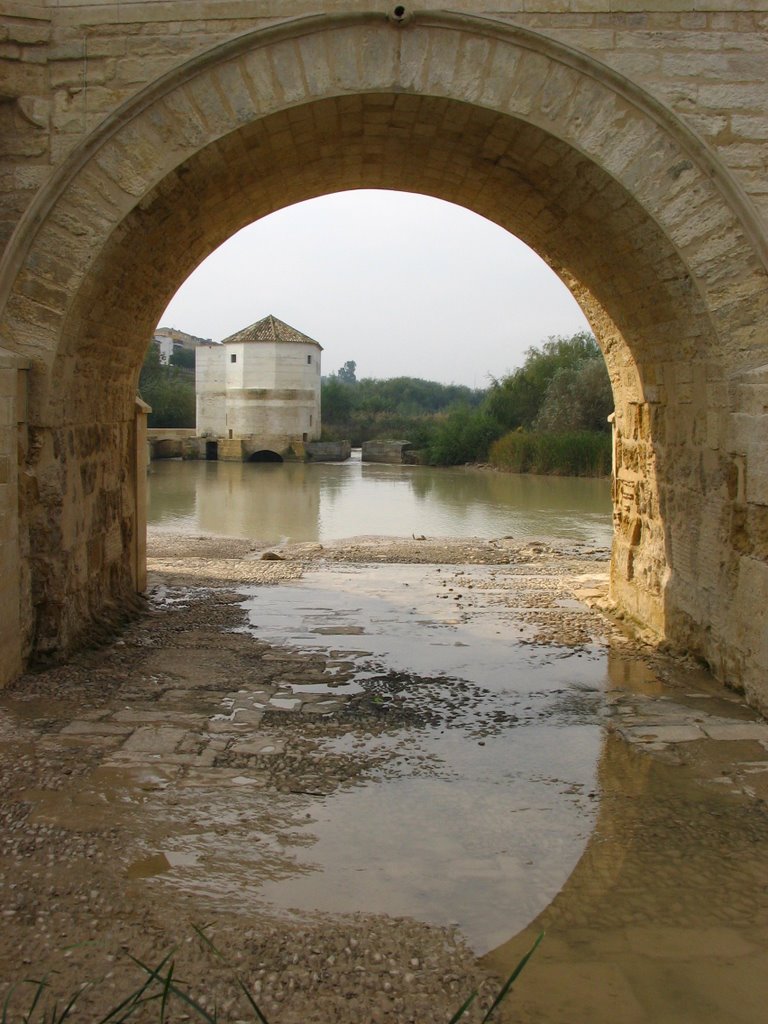 Water Mill, Córdoba, Spain by Jakeineurope