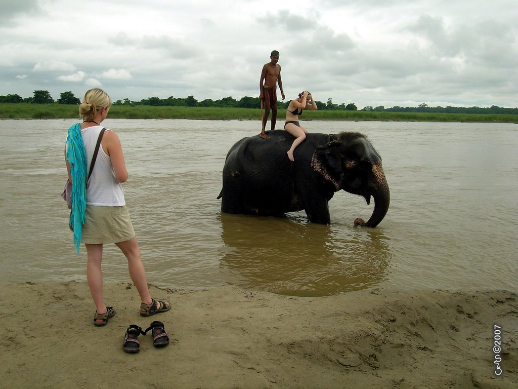 Sauraha - Bathing with elephants by Carlos Marques da Silva