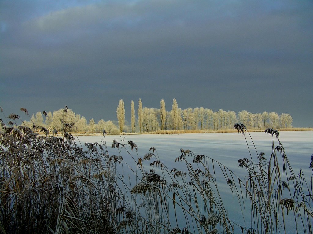 Winter 2009, Lake Wijde Aa by schiphol