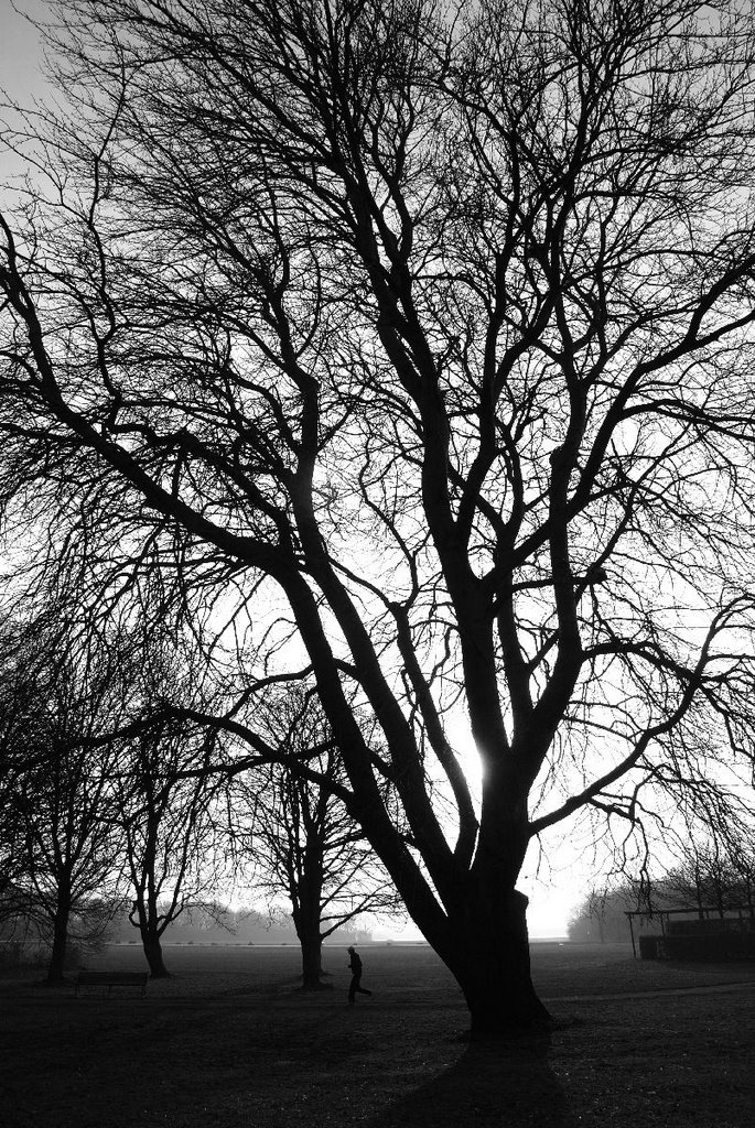 Valby parken in low sun by Christopher Leth