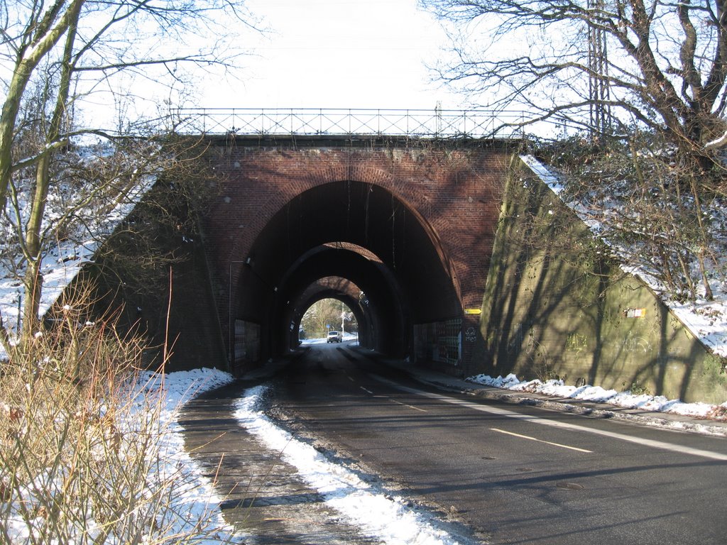 Eisenbahntunnel by Tappes