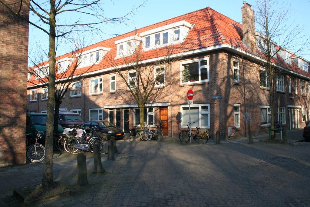 Bomen in de Flamingostraat hoek Laan van Soestbergen by Carl030nl