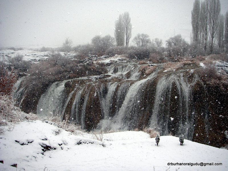 Van muradiye şelalesi, muradiye waterfall by dr burhan oral güdü