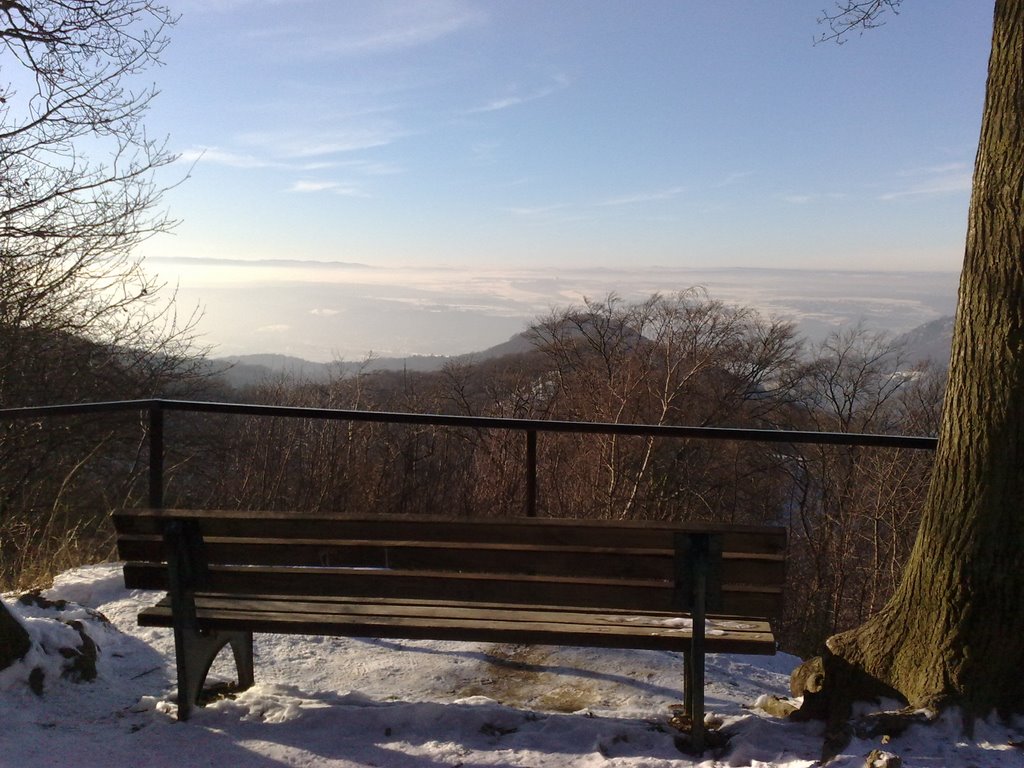 Siebengebirge - Aussicht im Winter by rachengold