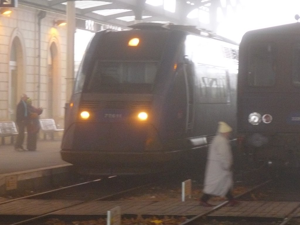 La Gare de Bergerac sous le brouillard by antoine2007