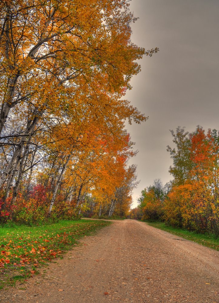 Walking path by Andrew Park