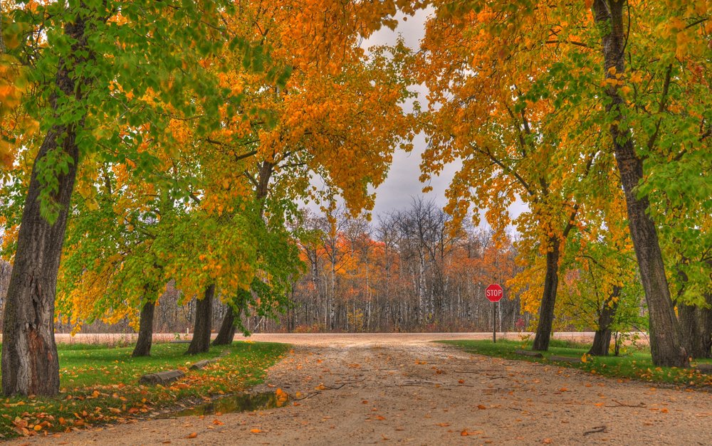 Norris Provincial Park by akhpark