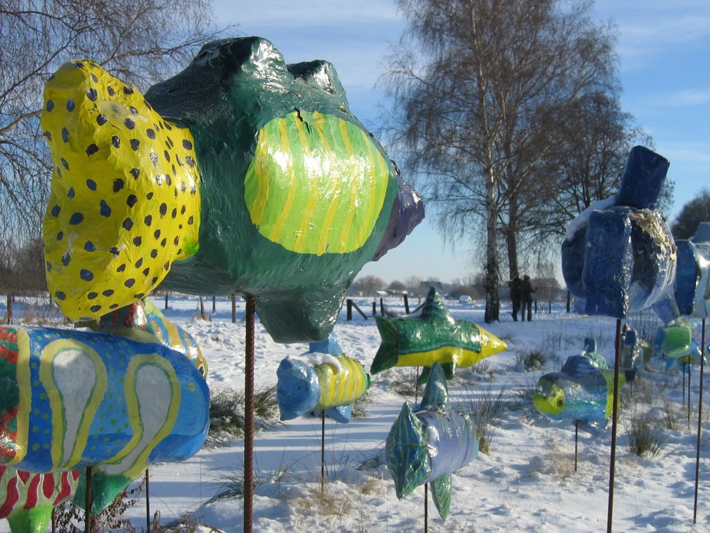 Fische im Schnee by Ralf-Jochen Brand