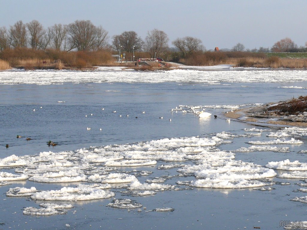 Elbe in Bleckede Januar 2009 by Robert (elch)