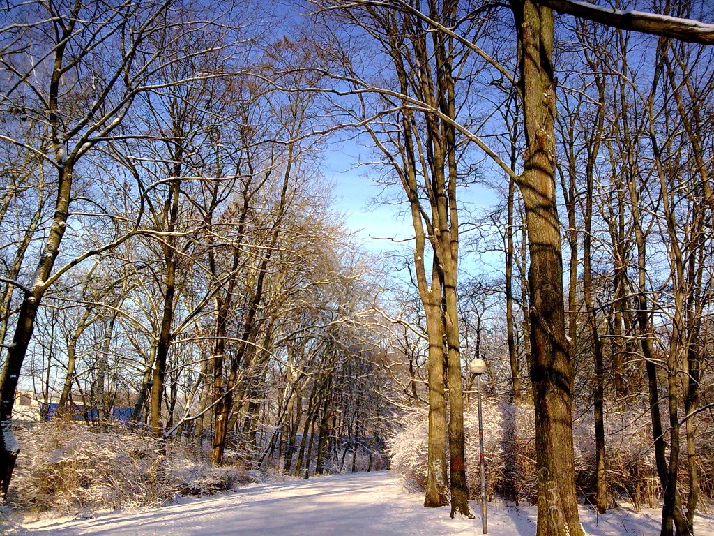 Winterlicher Treptower Park, Berlin by mondwolf