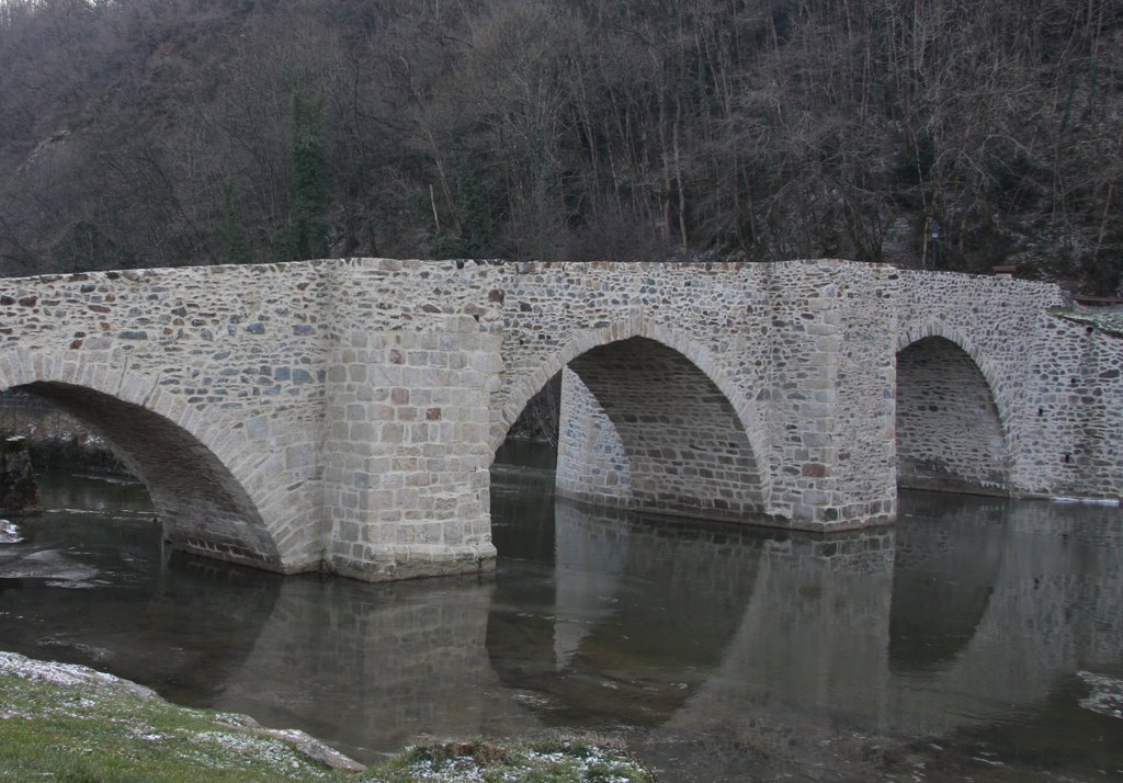 Solignac : pont gothique sur la Briance by macrobert