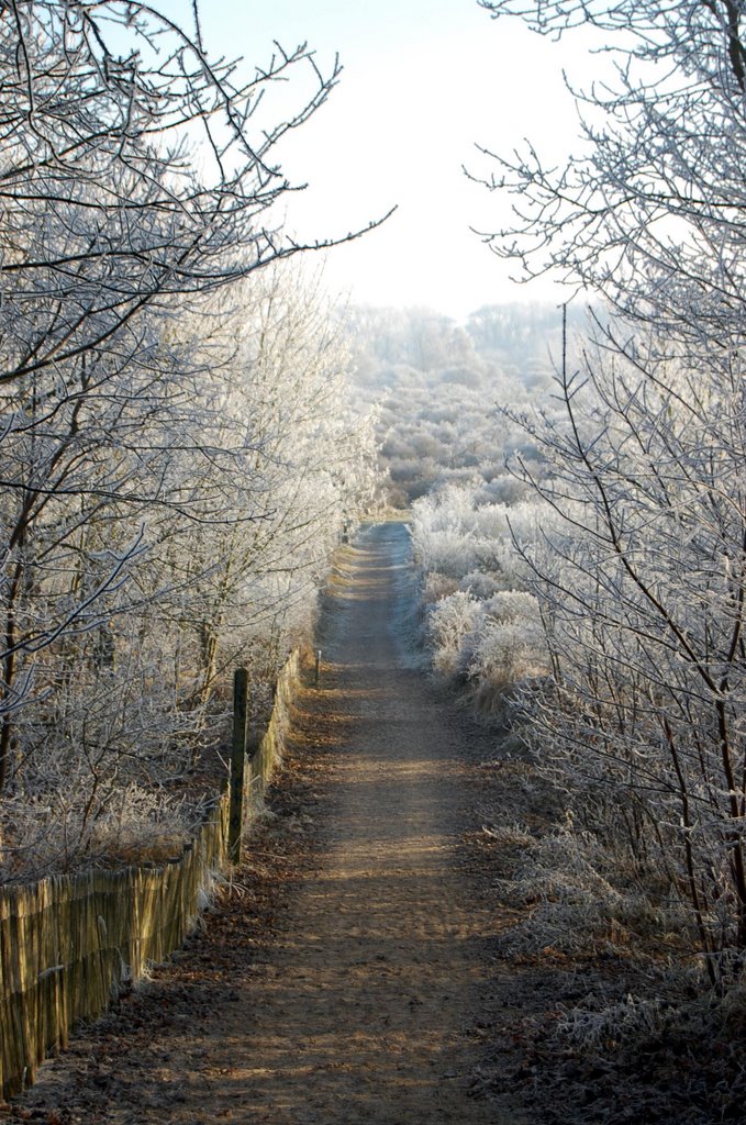 And i walk farther... - Ich spaziere weiter... by Lecleire Jacques (2)