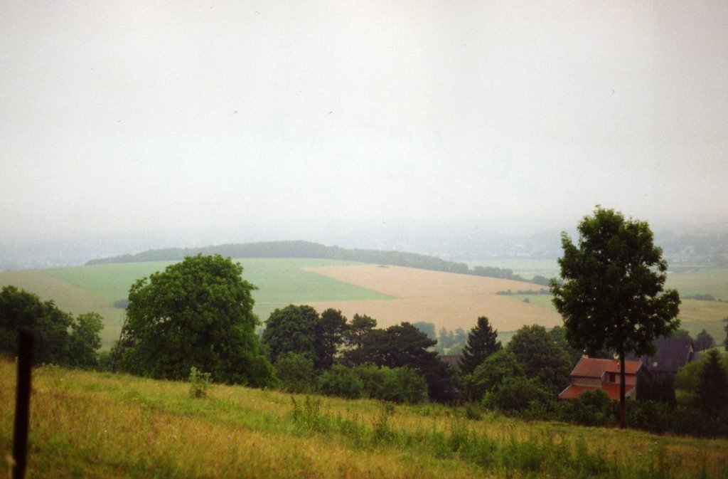 Vallée Meuse vue de la Marfée (artillerie française 130540) by alpha201