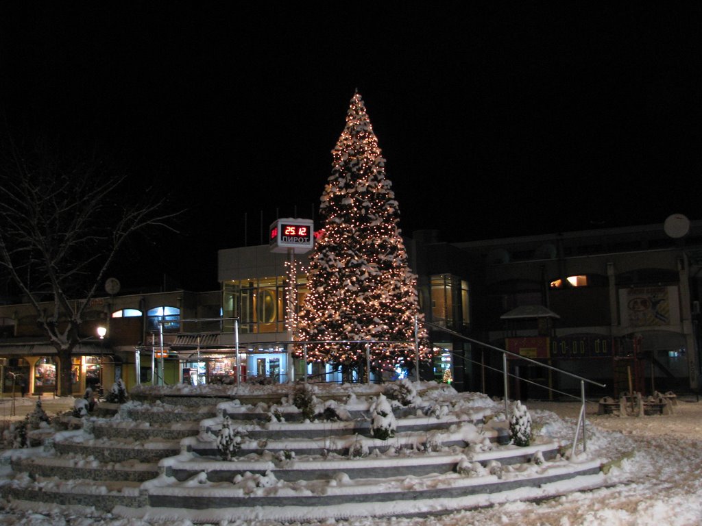 Pirot, Christmas decoration by Srdjan Djordjevic