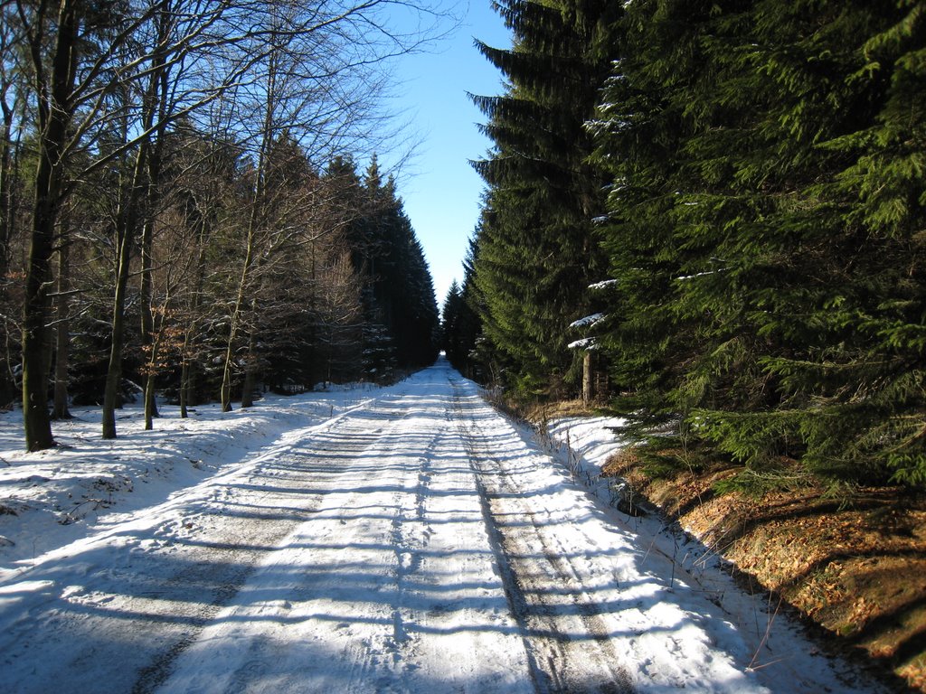 Weg vom Rundteil zum Spiegelwald im Winter 08 by Regina Stergar