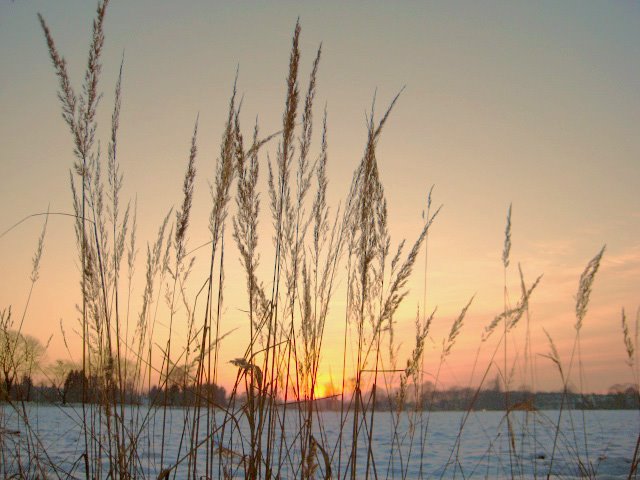 Winter Sunset by © El.Fe.Bo