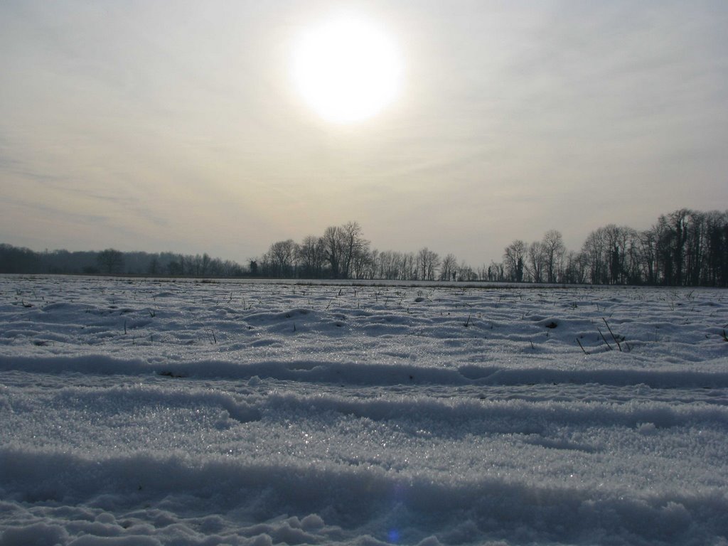 Vue générale (janvier 2009) by lounnas