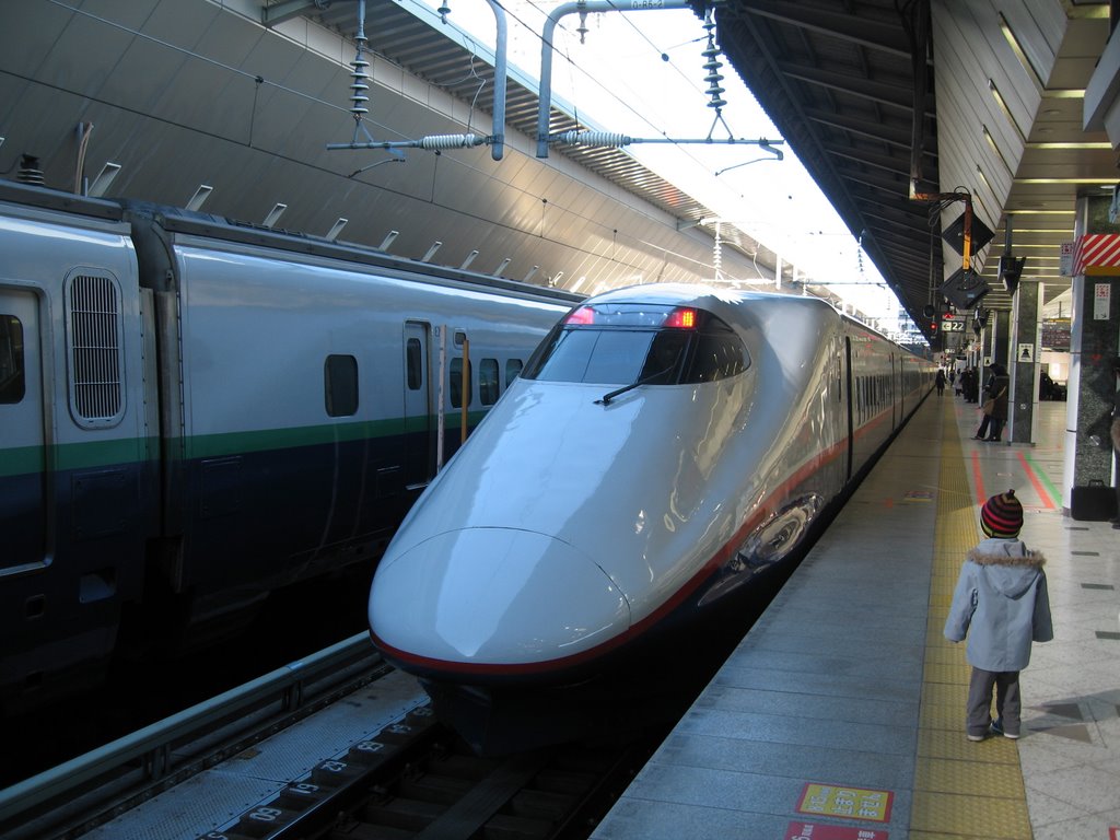 Shinkansen Asama 512, Tokyo Station　　　　　Sunday, January 11, 2009 by tokyolullaby